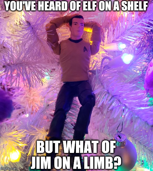 YOU'VE HEARD OF ELF ON A SHELF; BUT WHAT OF JIM ON A LIMB? | image tagged in christmas | made w/ Imgflip meme maker