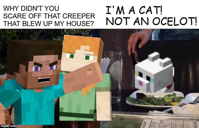 WHY DIDN'T YOU SCARE OFF THAT CREEPER THAT BLEW UP MY HOUSE? I'M A CAT! NOT AN OCELOT! | image tagged in memes,woman yelling at cat,cats,minecraft,minecraft steve | made w/ Imgflip meme maker