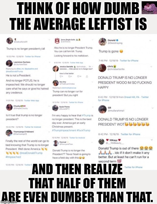 It is amazing how little people know. | THINK OF HOW DUMB THE AVERAGE LEFTIST IS; AND THEN REALIZE THAT HALF OF THEM ARE EVEN DUMBER THAN THAT. | image tagged in dumb dems | made w/ Imgflip meme maker