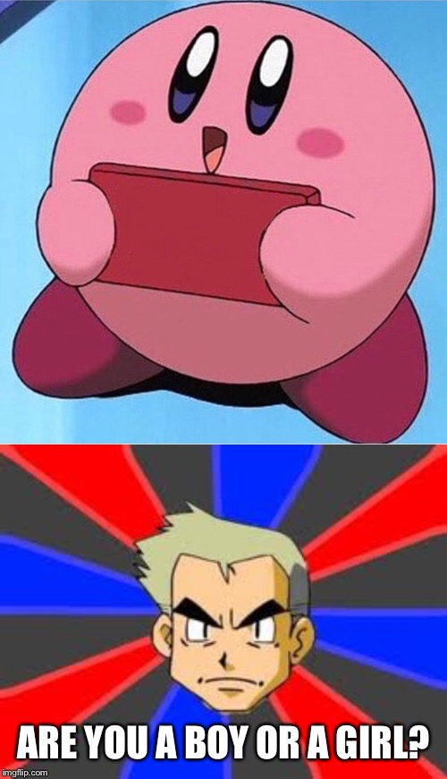 ARE YOU A BOY OR A GIRL? | image tagged in memes,professor oak,kirby holding a sign | made w/ Imgflip meme maker