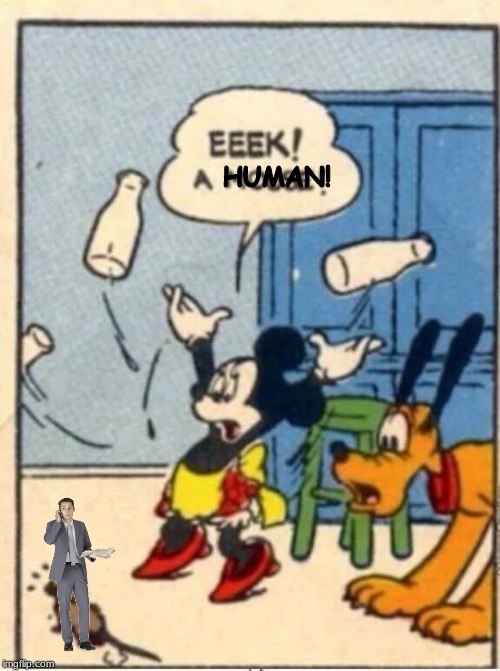 HUMAN! | image tagged in minnie mouse,eek a mouse | made w/ Imgflip meme maker