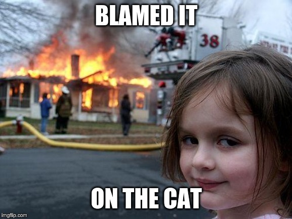 Disaster Girl Meme | BLAMED IT; ON THE CAT | image tagged in memes,disaster girl | made w/ Imgflip meme maker