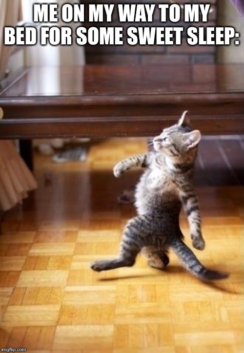 Cool Cat Stroll | ME ON MY WAY TO MY BED FOR SOME SWEET SLEEP: | image tagged in memes,cool cat stroll | made w/ Imgflip meme maker