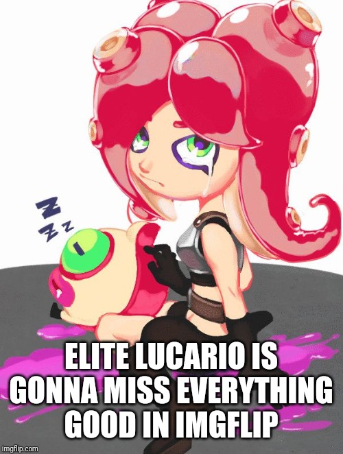 Crying Octoling | ELITE LUCARIO IS GONNA MISS EVERYTHING GOOD IN IMGFLIP | image tagged in crying octoling | made w/ Imgflip meme maker