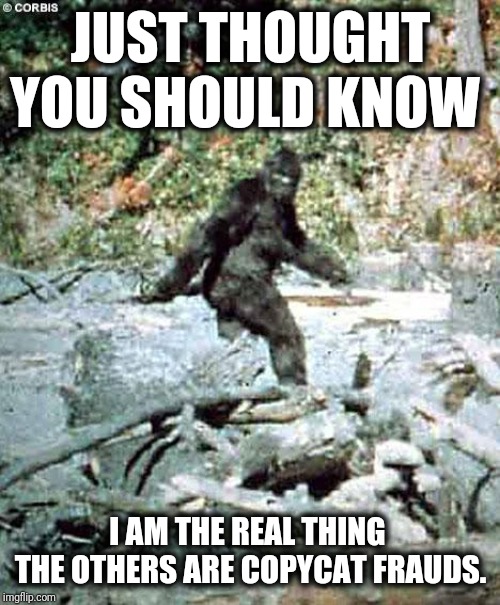 Bigfoot | JUST THOUGHT YOU SHOULD KNOW I AM THE REAL THING  THE OTHERS ARE COPYCAT FRAUDS. | image tagged in bigfoot | made w/ Imgflip meme maker