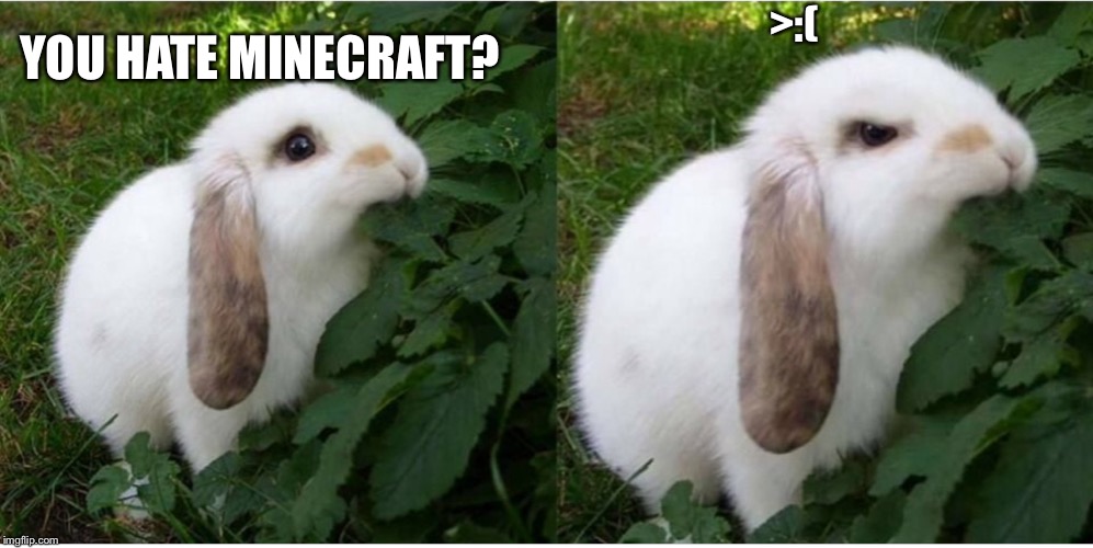 >:(; YOU HATE MINECRAFT? | image tagged in minecraft,animals | made w/ Imgflip meme maker