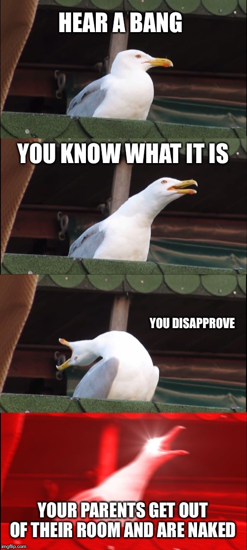 Inhaling Seagull | HEAR A BANG; YOU KNOW WHAT IT IS; YOU DISAPPROVE; YOUR PARENTS GET OUT OF THEIR ROOM AND ARE NAKED | image tagged in memes,inhaling seagull | made w/ Imgflip meme maker