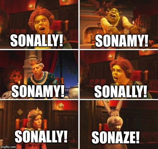 Sonic shipping wars(in a nutshell) | SONAMY! SONALLY! SONAMY! SONALLY! SONALLY! SONAZE! | image tagged in shrek fiona harold donkey | made w/ Imgflip meme maker