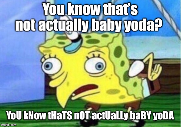 Mocking Spongebob | You know that’s not actually baby yoda? YoU kNow tHaTS nOT actUaLLy baBY yoDA | image tagged in memes,mocking spongebob | made w/ Imgflip meme maker