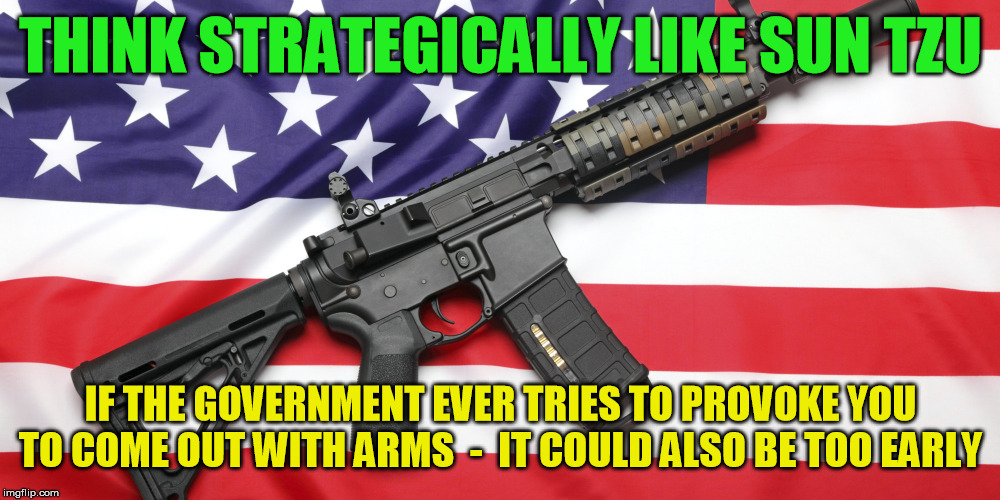 AR-15 and USA Flag | THINK STRATEGICALLY LIKE SUN TZU IF THE GOVERNMENT EVER TRIES TO PROVOKE YOU TO COME OUT WITH ARMS  -  IT COULD ALSO BE TOO EARLY | image tagged in ar-15 and usa flag | made w/ Imgflip meme maker