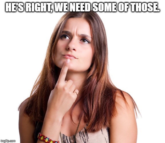 thinking woman | HE'S RIGHT, WE NEED SOME OF THOSE. | image tagged in thinking woman | made w/ Imgflip meme maker