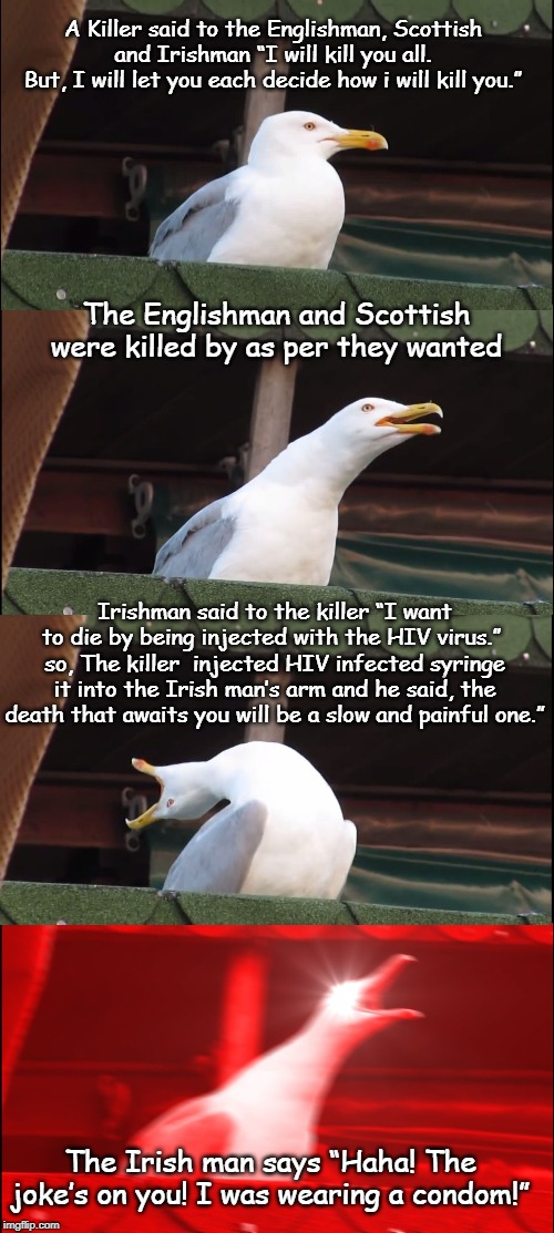 Inhaling Seagull Meme | A Killer said to the Englishman, Scottish and Irishman “I will kill you all.
But, I will let you each decide how i will kill you.”; The Englishman and Scottish were killed by as per they wanted; Irishman said to the killer “I want to die by being injected with the HIV virus.” 
so, The killer  injected HIV infected syringe it into the Irish man’s arm and he said, the death that awaits you will be a slow and painful one.”; The Irish man says “Haha! The joke’s on you! I was wearing a condom!” | image tagged in memes,inhaling seagull | made w/ Imgflip meme maker