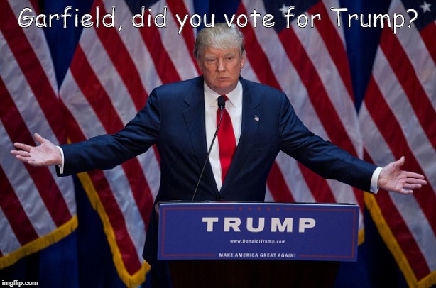Donald Trump | Garfield, did you vote for Trump? | image tagged in donald trump | made w/ Imgflip meme maker