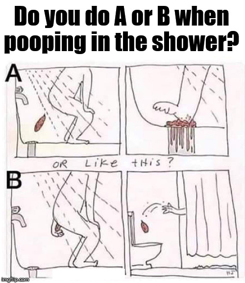 Do you do A or B when pooping in the shower? | image tagged in pooping | made w/ Imgflip meme maker