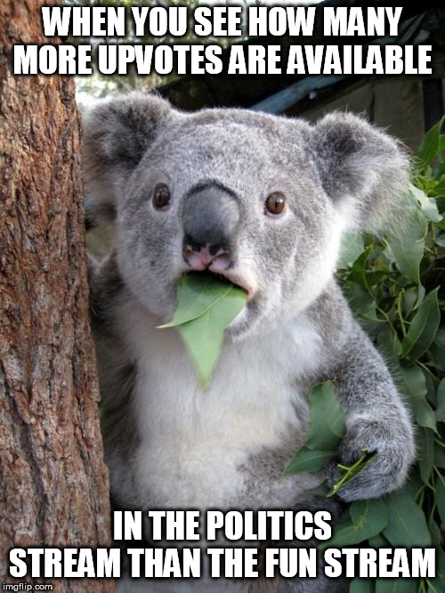 Surprised Koala |  WHEN YOU SEE HOW MANY MORE UPVOTES ARE AVAILABLE; IN THE POLITICS STREAM THAN THE FUN STREAM | image tagged in memes,surprised koala | made w/ Imgflip meme maker