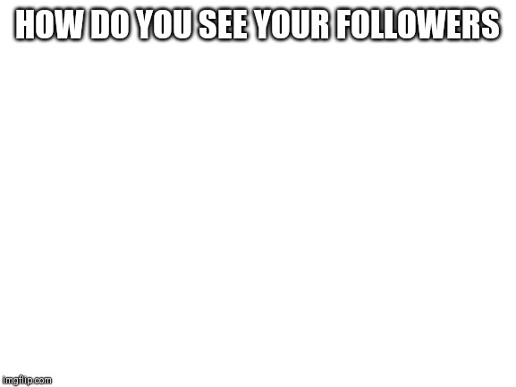 Blank White Template |  HOW DO YOU SEE YOUR FOLLOWERS | image tagged in blank white template | made w/ Imgflip meme maker