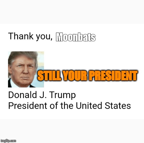 Official message for confused Moonbats - | Moonbats; STILL YOUR PRESIDENT | image tagged in president trump | made w/ Imgflip meme maker