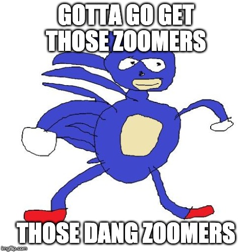 Sanic | GOTTA GO GET THOSE ZOOMERS; THOSE DANG ZOOMERS | image tagged in sanic | made w/ Imgflip meme maker