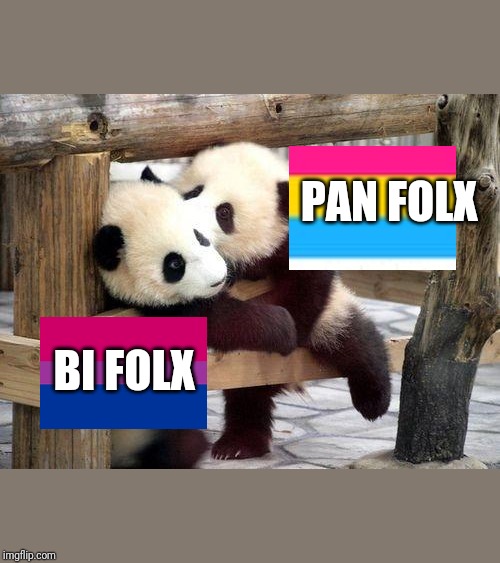 panda kisses | PAN FOLX; BI FOLX | image tagged in panda kisses | made w/ Imgflip meme maker