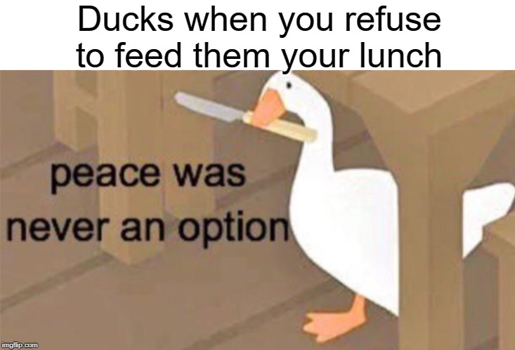 i want my lunc | Ducks when you refuse to feed them your lunch | image tagged in untitled goose peace was never an option,funny,memes,peace,lunch | made w/ Imgflip meme maker