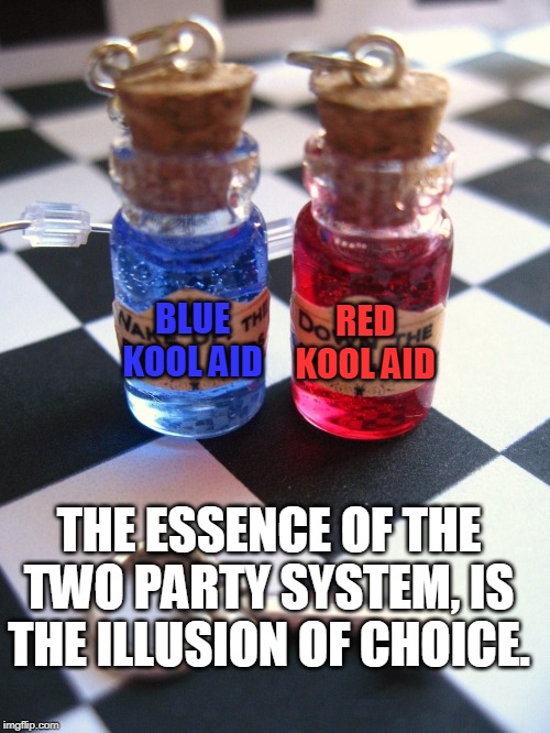 wonderland red pill blue pill | BLUE KOOL AID RED KOOL AID THE ESSENCE OF THE TWO PARTY SYSTEM, IS THE ILLUSION OF CHOICE. | image tagged in wonderland red pill blue pill | made w/ Imgflip meme maker