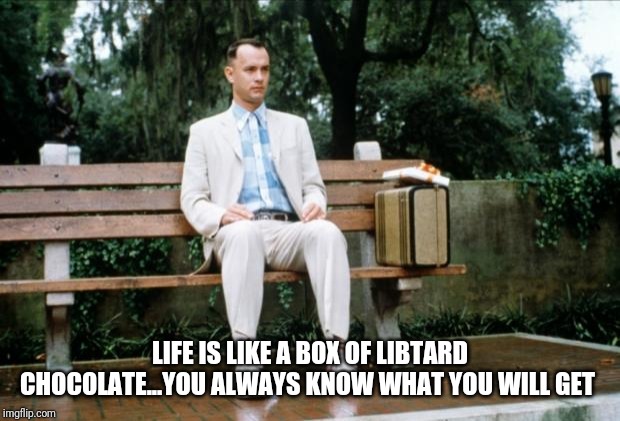Forrest Gump | LIFE IS LIKE A BOX OF LIBTARD CHOCOLATE...YOU ALWAYS KNOW WHAT YOU WILL GET | image tagged in forrest gump | made w/ Imgflip meme maker