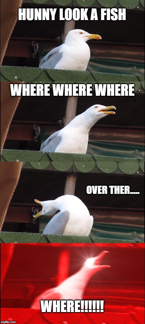 Inhaling Seagull Meme | HUNNY LOOK A FISH; WHERE WHERE WHERE; OVER THER..... WHERE!!!!!! | image tagged in memes,inhaling seagull | made w/ Imgflip meme maker