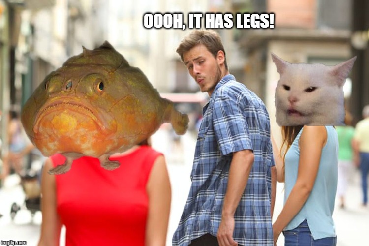 Jealous Cat on Fish with legs | OOOH, IT HAS LEGS! | image tagged in distracted boyfriend,jealous,fish,legs,cat | made w/ Imgflip meme maker