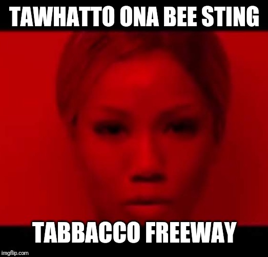 TAWHATTO ONA BEE STING; TABBACCO FREEWAY | made w/ Imgflip meme maker