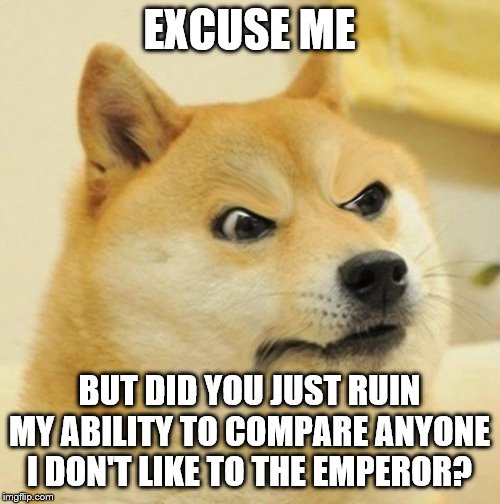 Confused Angery Doge | EXCUSE ME BUT DID YOU JUST RUIN MY ABILITY TO COMPARE ANYONE I DON'T LIKE TO THE EMPEROR? | image tagged in confused angery doge | made w/ Imgflip meme maker