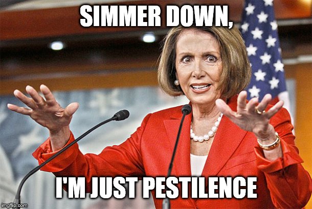 Nancy Pelosi is crazy | SIMMER DOWN, I'M JUST PESTILENCE | image tagged in nancy pelosi is crazy | made w/ Imgflip meme maker