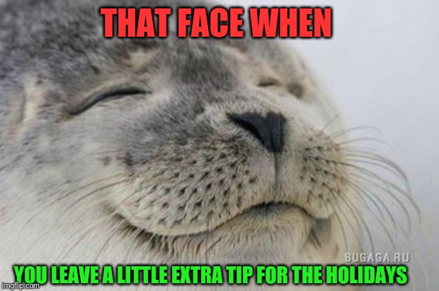 Don't be a cheapskate... Especially this time of year | THAT FACE WHEN; YOU LEAVE A LITTLE EXTRA TIP FOR THE HOLIDAYS | image tagged in happy seal,tips,waitress,bartender,food service | made w/ Imgflip meme maker