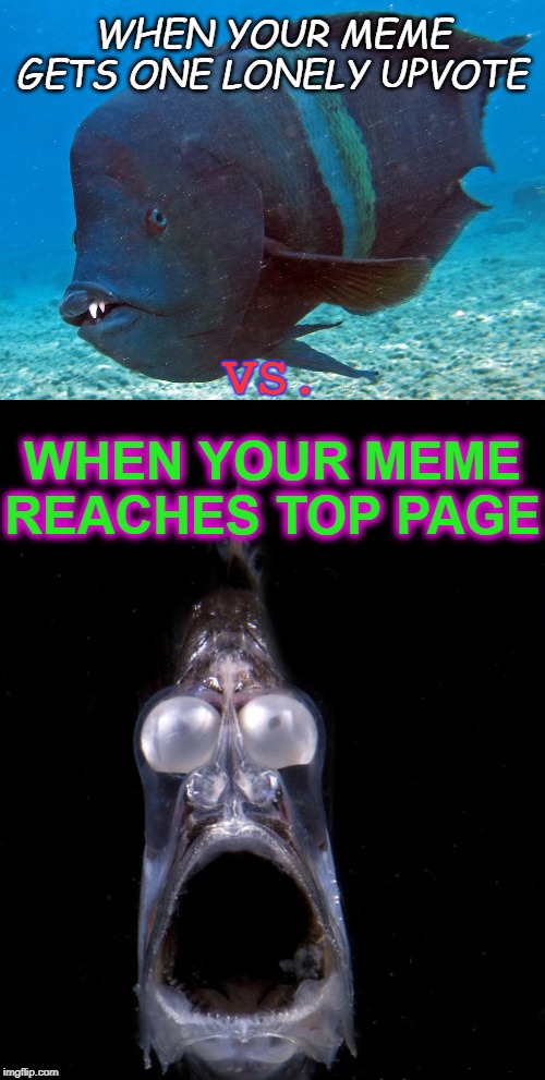 WhO wOuLd WiN? | WHEN YOUR MEME GETS ONE LONELY UPVOTE; VS. WHEN YOUR MEME REACHES TOP PAGE | image tagged in memes,funny memes,comparison,derp,upvotes,front page | made w/ Imgflip meme maker