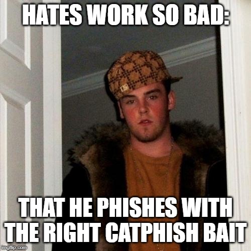 Scumbag Steve Meme | HATES WORK SO BAD:; THAT HE PHISHES WITH THE RIGHT CATPHISH BAIT | image tagged in memes,scumbag steve,phish,catfish | made w/ Imgflip meme maker