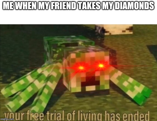 Your Free Trial of Living Has Ended | ME WHEN MY FRIEND TAKES MY DIAMONDS | image tagged in your free trial of living has ended | made w/ Imgflip meme maker