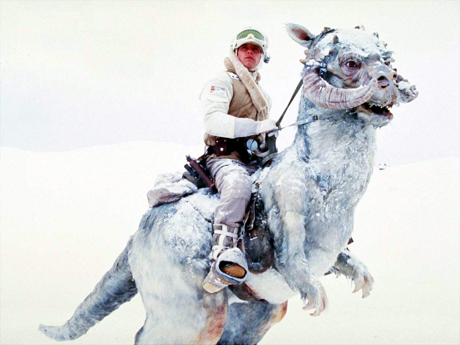 High Quality Luke Skywalker Tauntaun Blank Meme Template