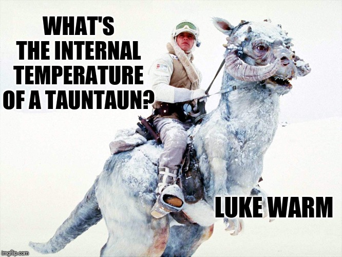 Luke Skywalker Tauntaun | WHAT'S THE INTERNAL TEMPERATURE OF A TAUNTAUN? LUKE WARM | image tagged in luke skywalker tauntaun | made w/ Imgflip meme maker