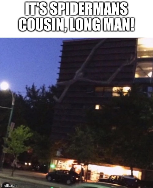 Long boi | IT'S SPIDERMANS COUSIN, LONG MAN! | image tagged in long boi | made w/ Imgflip meme maker