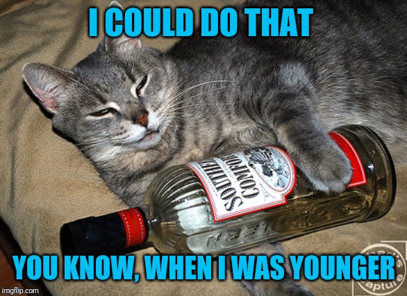 cat and liquor | I COULD DO THAT YOU KNOW, WHEN I WAS YOUNGER | image tagged in cat and liquor | made w/ Imgflip meme maker