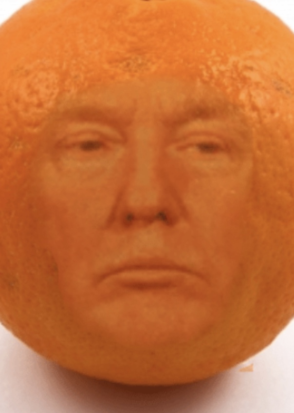 High Quality orange don the con Blank Meme Template