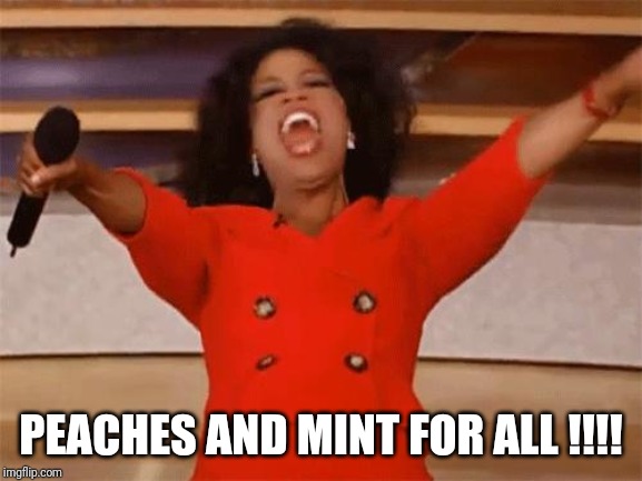oprah | PEACHES AND MINT FOR ALL !!!! | image tagged in oprah | made w/ Imgflip meme maker