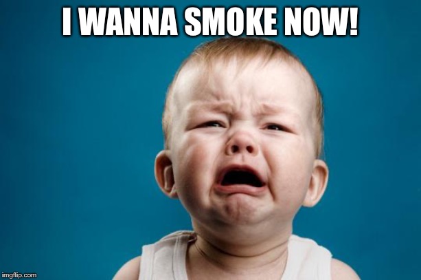 BABY CRYING | I WANNA SMOKE NOW! | image tagged in baby crying | made w/ Imgflip meme maker