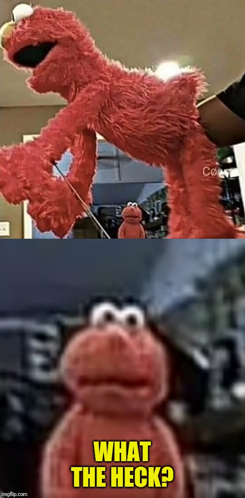 WHAT THE HECK? | image tagged in funny,cookie monster,wtf,cursed image,sexual,what the heck | made w/ Imgflip meme maker