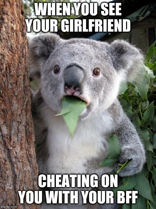 Surprised Koala | WHEN YOU SEE YOUR GIRLFRIEND; CHEATING ON YOU WITH YOUR BFF | image tagged in memes,surprised koala | made w/ Imgflip meme maker