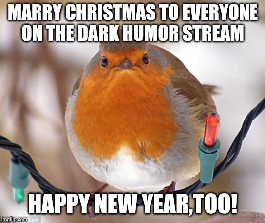 Bah,humbug! | MARRY CHRISTMAS TO EVERYONE ON THE DARK HUMOR STREAM; HAPPY NEW YEAR,TOO! | image tagged in memes,bah humbug | made w/ Imgflip meme maker