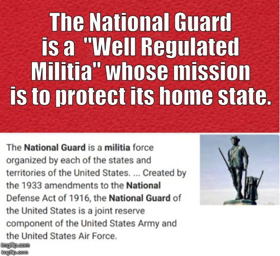  The National Guard is a  "Well Regulated Militia" whose mission is to protect its home state. | image tagged in militia,2nd amendment | made w/ Imgflip meme maker