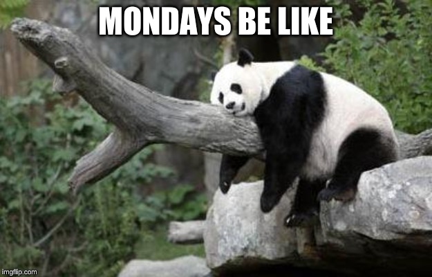 lazy panda | MONDAYS BE LIKE | image tagged in lazy panda | made w/ Imgflip meme maker