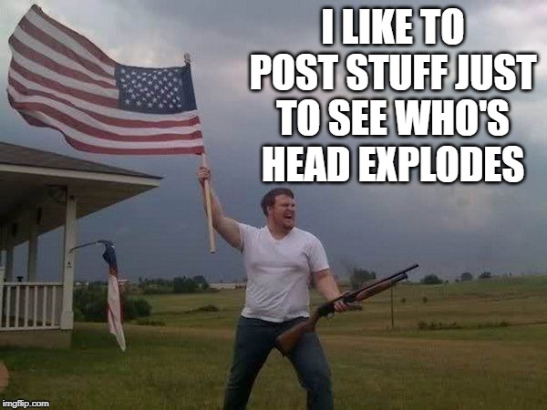 American flag shotgun guy | I LIKE TO POST STUFF JUST TO SEE WHO'S HEAD EXPLODES | image tagged in american flag shotgun guy | made w/ Imgflip meme maker