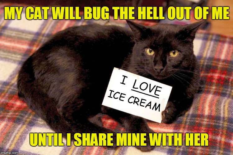 I  LOVE ICE CREAM ___ MY CAT WILL BUG THE HELL OUT OF ME UNTIL I SHARE MINE WITH HER | made w/ Imgflip meme maker