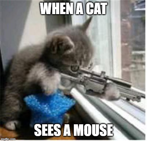 cats with guns | WHEN A CAT; SEES A MOUSE | image tagged in cats with guns | made w/ Imgflip meme maker